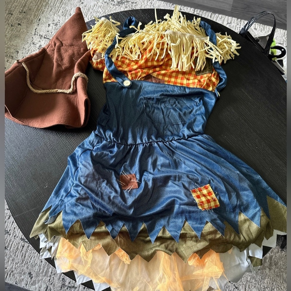 Scarecrow woman’s costume